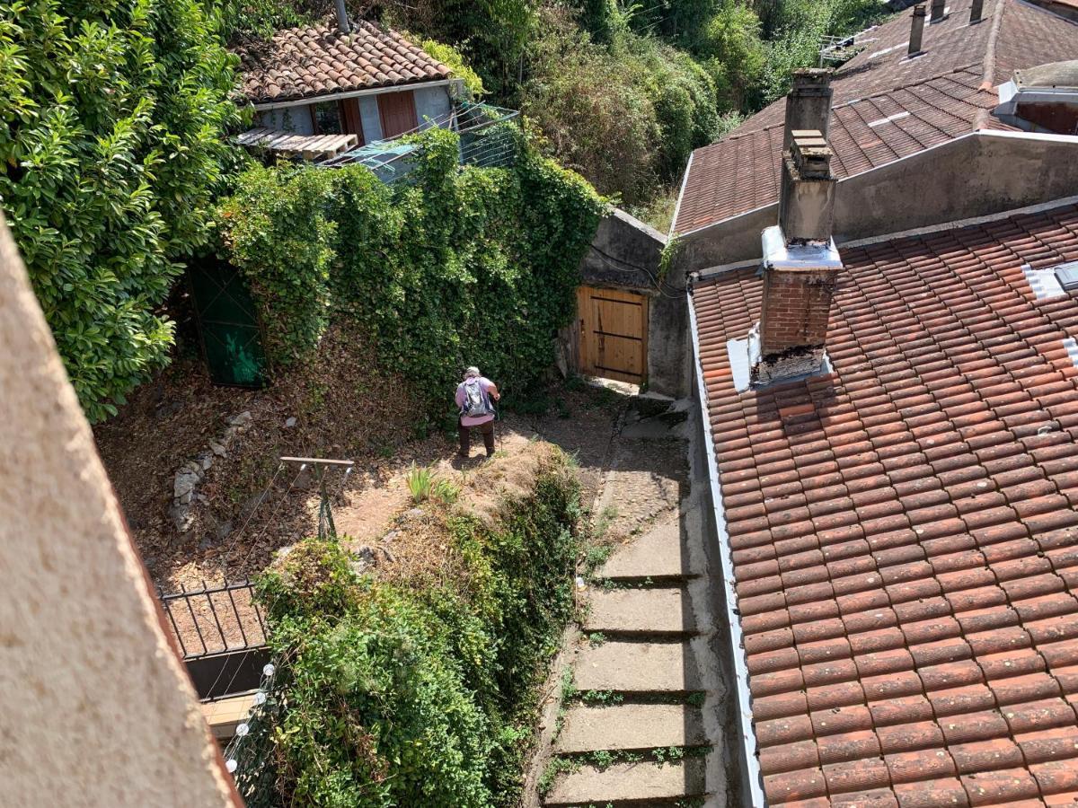 Hebergements Entiers Two Homes T1 Bas Or T1 Haut -Aux Terrasses Du Pech Foix Eksteriør billede