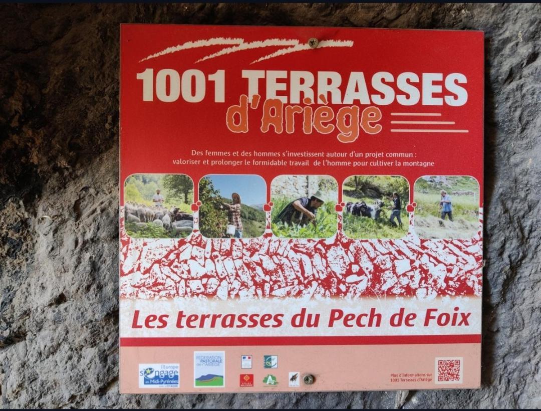 Hebergements Entiers Two Homes T1 Bas Or T1 Haut -Aux Terrasses Du Pech Foix Eksteriør billede